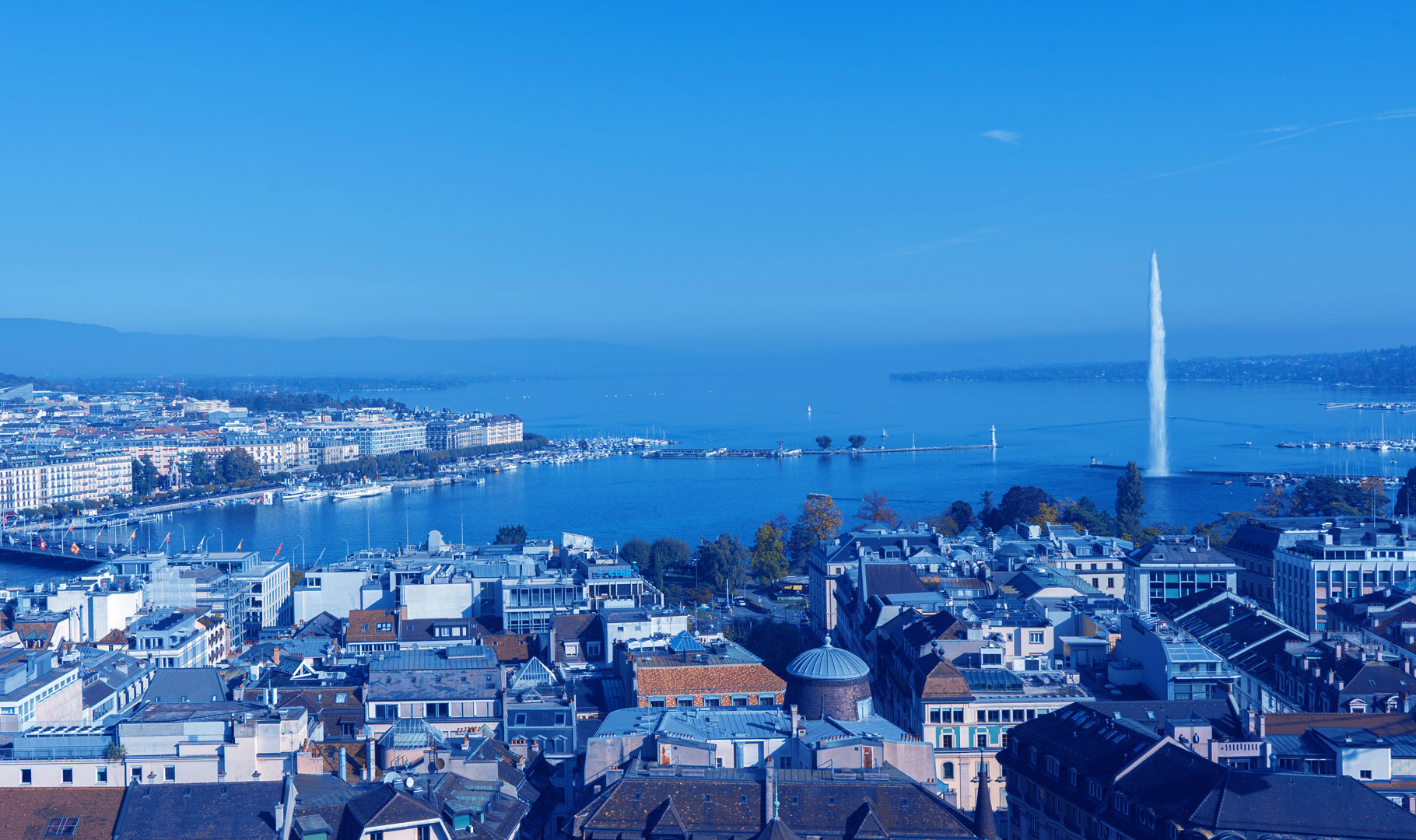 Doctorate of Business Administration (DBA) DBA GEM & HEG-Genève