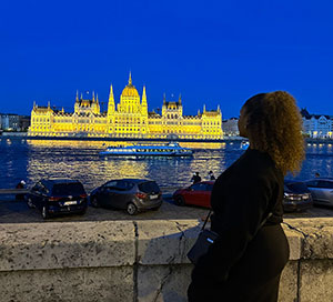 Témoignage out - Budapest - Hemeda Abro - Paysage