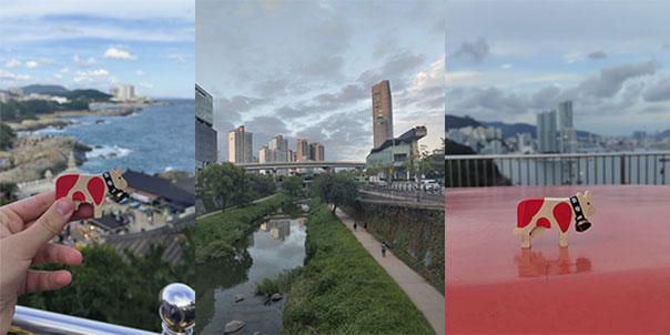Témoignage out - Seoul - Thibault Cart - Paysages et Happy Lilly