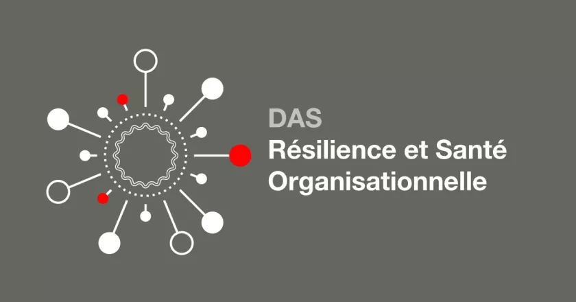 DAS Résilience et Santé Organisationnelle Formation Continue HEG-Genève