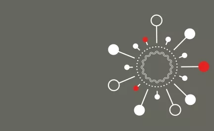Bannière DAS Résilience et Santé Organisationnelle