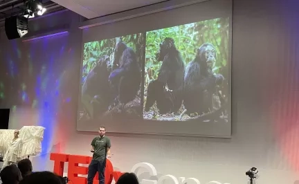 TEDx 2024 