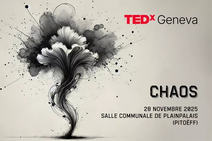 TEDxGeneva Chaos