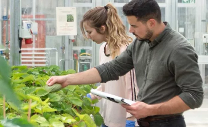2 personnes analysant des plantes